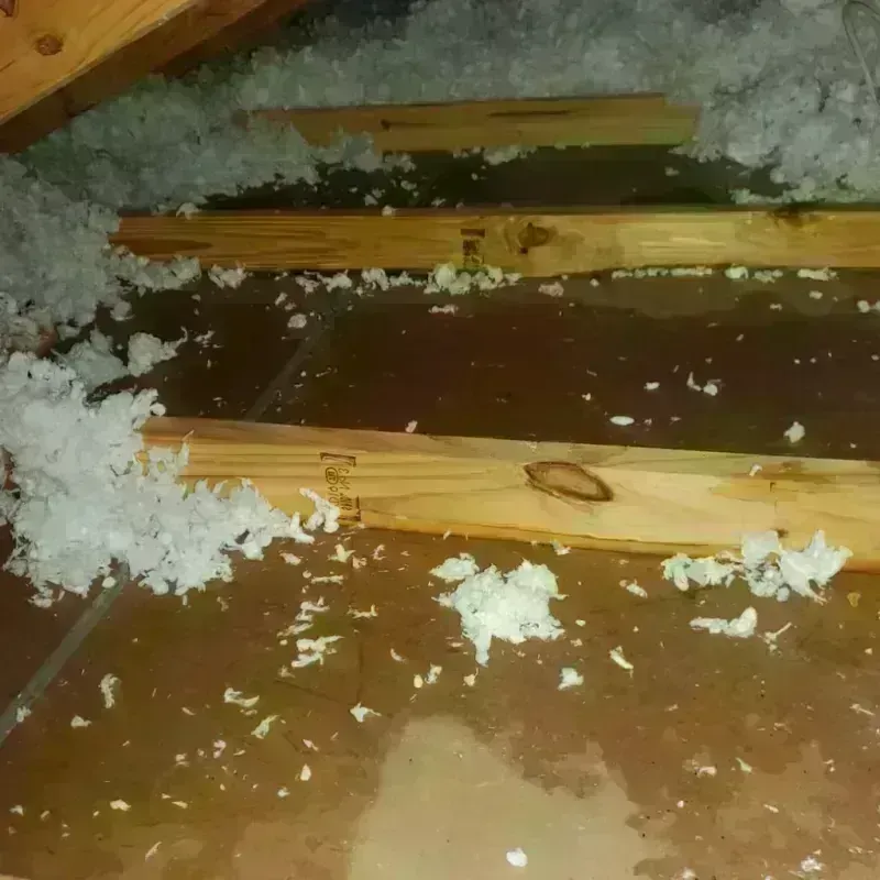 Attic Water Damage in Eden, NC