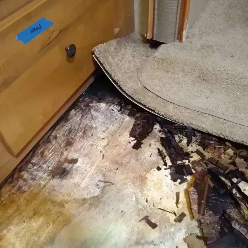 Wood Floor Water Damage in Eden, NC